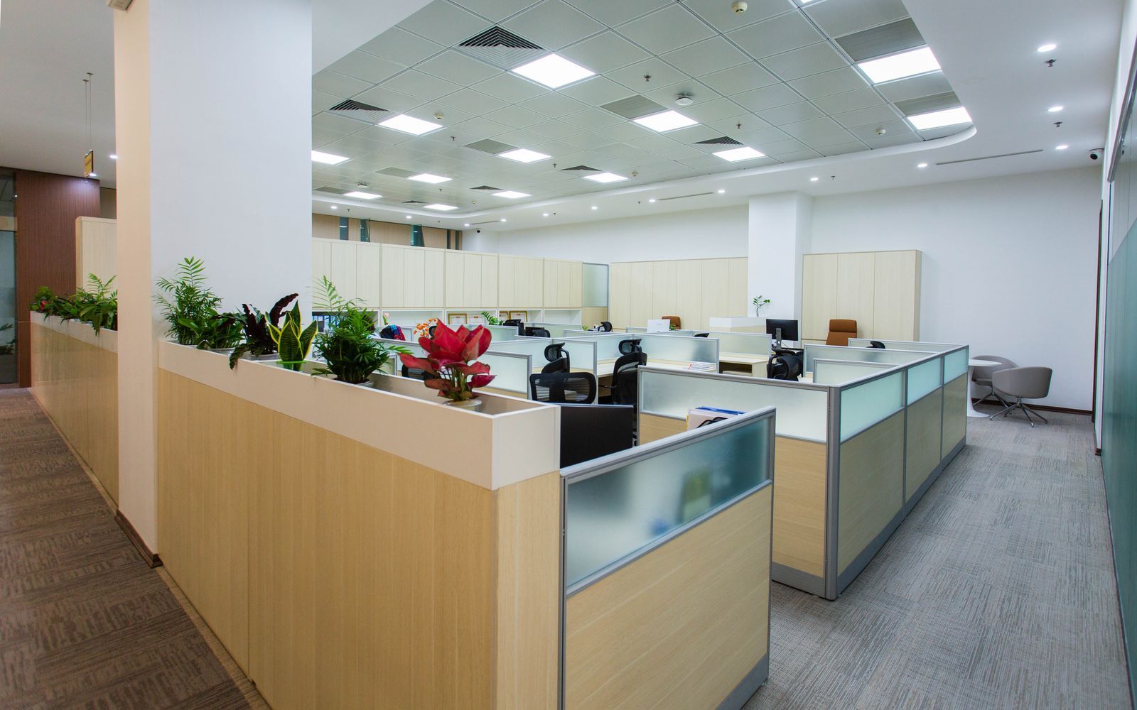 Bright, professionally cleaned open office in Boston
